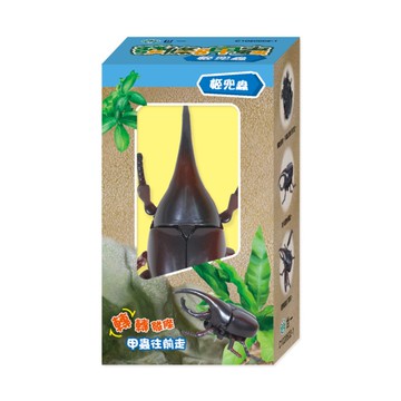 發條甲蟲：姬兜蟲