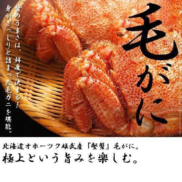 お歳暮 ギフト カニ 海鮮  (セット 食べ比べ ギフト 福袋)カニ(ずわい　タラバ　毛ガニ)鍋セット約1.2kg送料無料