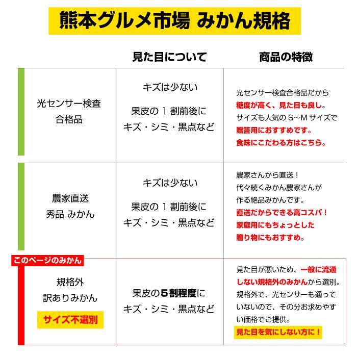 みかん 送料無料 10kg 訳あり 内容量9kg 補償分500g  規格外 サイズ不選別 熊本県産  温州 は大玉傾向 ミカン 蜜柑 ご自宅用 ポイント消化