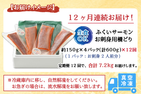 《定期便12回》ふくいサーモン 柵どり 150g×4パック 計600g ＜鮮度抜群！真空冷凍＞ ／ 生食OK 刺身 鮭 国産 ※2024年8月中旬以降順次発送