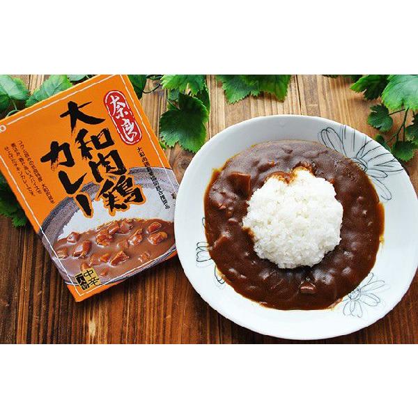 ご当地カレー レトルトカレー 奈良 大和肉鶏カレー 中辛（１人前 200ｇ）