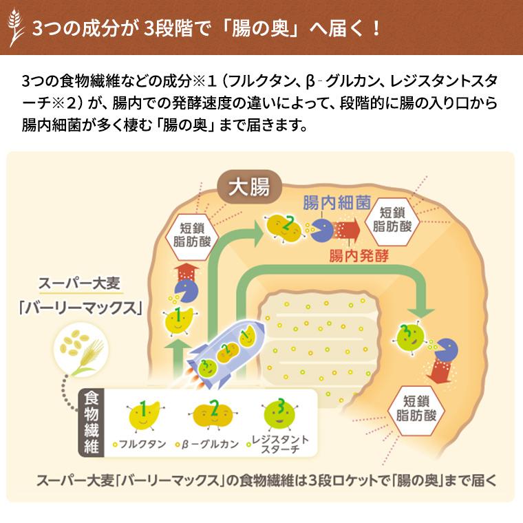 スーパー大麦 ロースト バーリーマックス 150g 送料無料 腸活 スーパーフード レジスタントスターチ