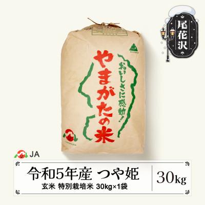 ふるさと納税 尾花沢市 令和5年産 特別栽培米「つや姫」　玄米30kg　山形県尾花沢市産