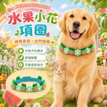 🍓水果小花項圈🍉 寵物項圈 狗狗項圈 柴犬項圈 寵物領巾 黃金獵犬項圈薩摩耶柯基哈士奇柯基小狗中大型犬項圈圍脖項鍊狗配件