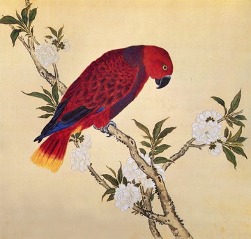 故宮鳥譜048蓮青鸚鵡仿古畫復制名人字畫名家書畫29X32花鳥畫