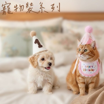 生日帽 派對生日帽系列 燙金帽 時尚生日帽 派對時尚生日帽 生日派對帽 派對帽 生日帽 寵物派對帽 毛孩派對套組