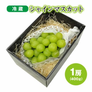 長野 冷蔵 シャインマスカット1房 400g マスカット フルーツ 果物 甘い 皮ごと 送料無料 【お届け不