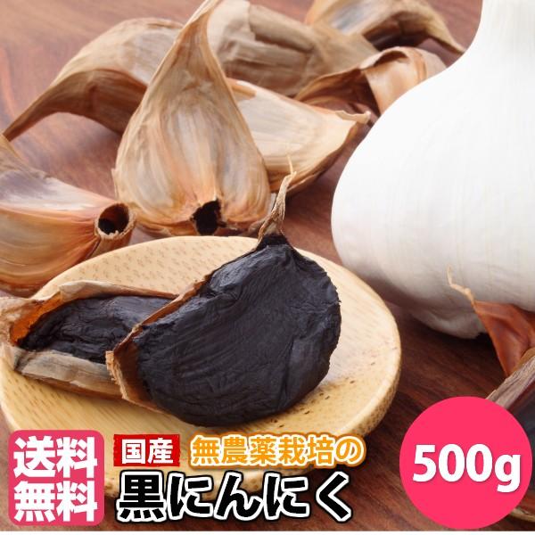 黒にんにく500g (50g×10袋) 送料無料 国産 バラ 無農薬