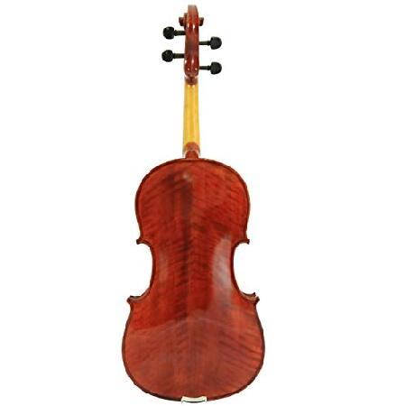 D'Luca PDZ02-16.5 16.5-Inch Orchestral Series Viola Outfit