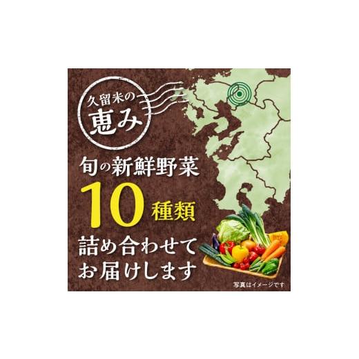 ふるさと納税 福岡県 久留米市 福岡県久留米市産　新鮮野菜セット