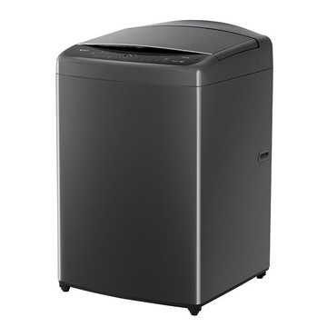 【LG 樂金】WT-VDN17M 17公斤AI DD™智慧直驅變頻洗衣機｜ （曜石黑）（送基本安裝）_廠商直送