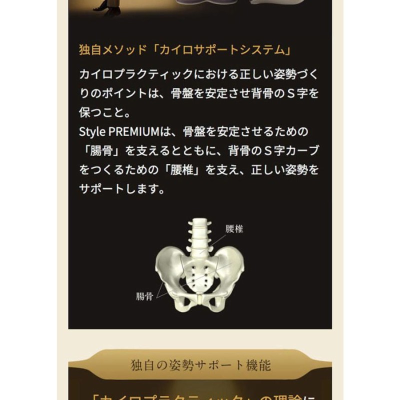 MTG 骨盤 姿勢ケア Style PREMIUM スタイルプレミアム dev.echoppes