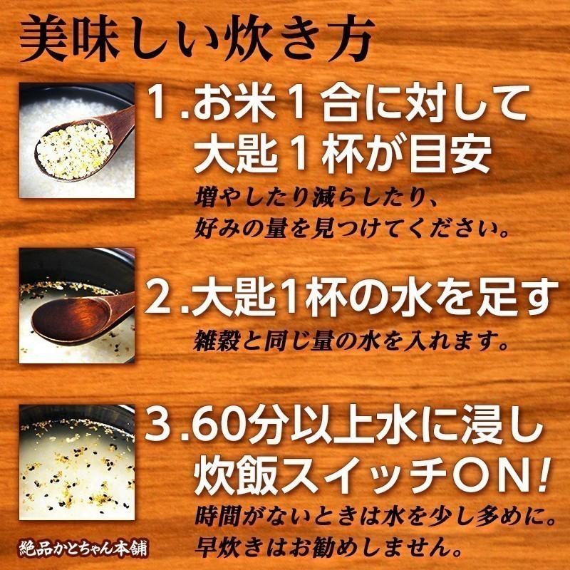 雑穀 雑穀米 国産 新潟県産 こがねもち(黄金餅) 4.5kg(450g×10袋) 送料無料 厳選 もち米 完全数量限定 令和3年 雑穀米本舗