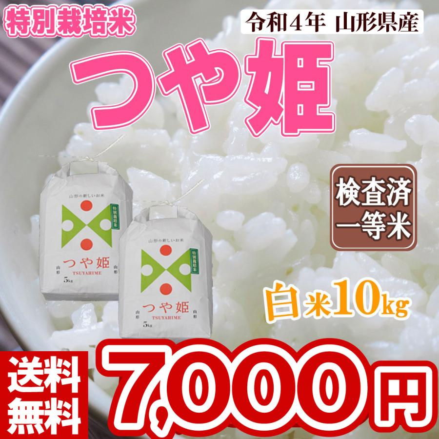 白米 10kg (5kg×2) 山形県産 特別栽培米 つや姫 米 お米 精米済 令和5年（送料無料）