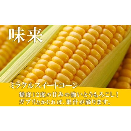 ふるさと納税 北海道産 朝もぎ イエロー とうもろこし 味来 みらい 2Lサイズ 13本 約5kg 大きめ 夏野菜 とうきび 新鮮 野菜 トウモロコシ ギフ.. 北海道倶知安町