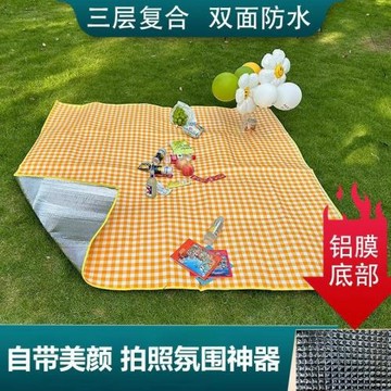 野餐墊防潮墊戶外徒步休閑公園坐墊加厚便攜帶野外野炊墊露營帳篷