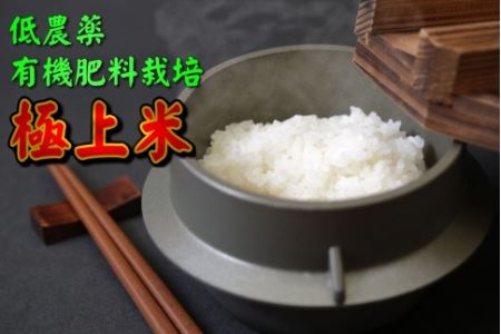 《定期便》5kg×12回 60kg 特別栽培米 ミルキークイーン 無洗米 低農薬 《食味値85点以上！こだわり極上無洗米》   福井県 あわら 北陸 米 お米 人気