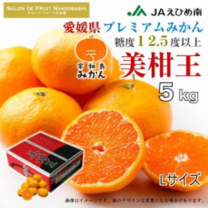 [予約 12月1日-12月20日の納品] 美柑王 宇和島みかん Lサイズ 約5kg 愛媛県 うわじま 糖度12.5度 ミカン 産地箱 上級品 冬ギフト お歳暮