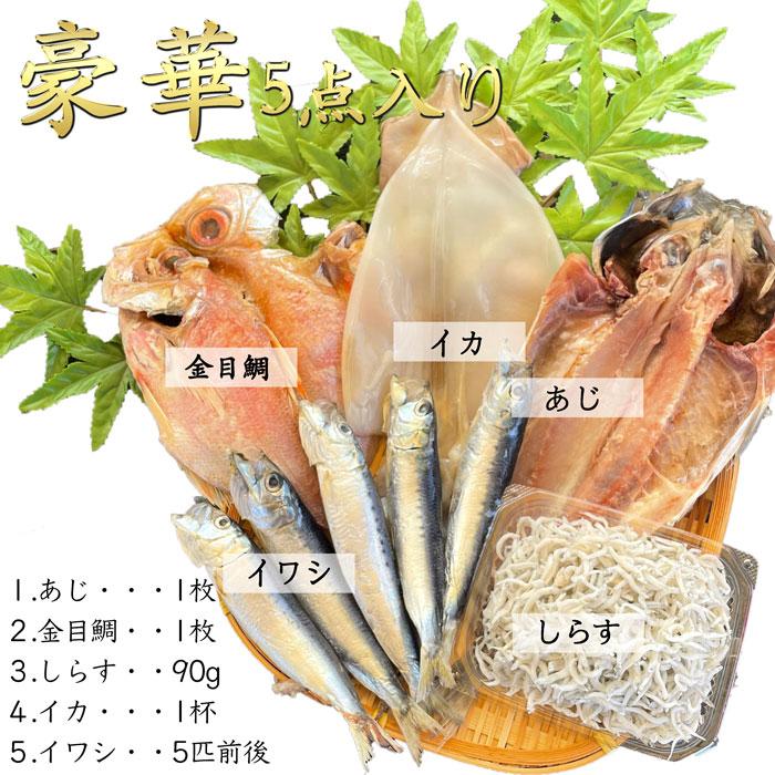 南知多干物セット 笑 干物（送料無料）