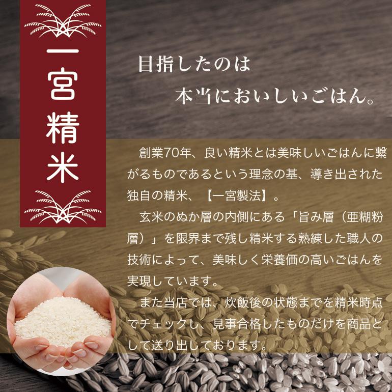 つや姫 5kg 送料無料 山形県産 白米 一宮精米 米 令和5年産 減農薬 特別栽培米 北海道沖縄別途送料必要