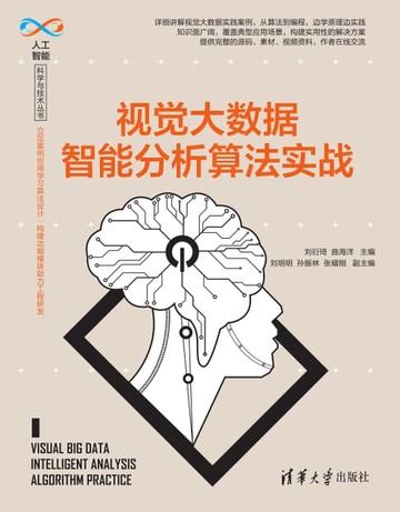 【電子書】视觉大数据智能分析算法实战