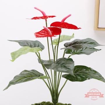 仿真5頭手感紅掌 喬遷迎春家居裝飾盆栽塑料3頭小紅掌