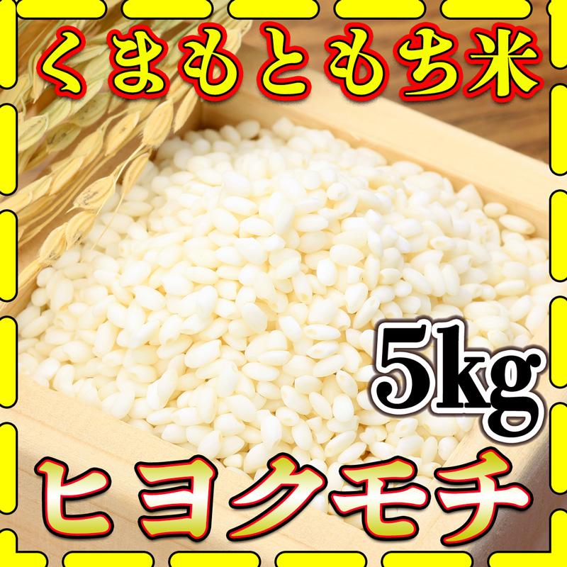 お米 米 5kg もち白米 熊本県産 ヒヨクモチ あすつく 新米 令和5年産 5kg1個 くまもとのお米 富田商店 とみた商店