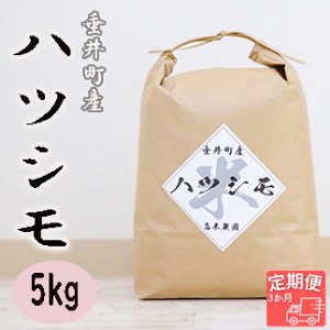 岐阜県産ハツシモ5kg