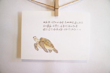 動物與牠的詩8/ 海龜/ 手繪 /卡片 明信片