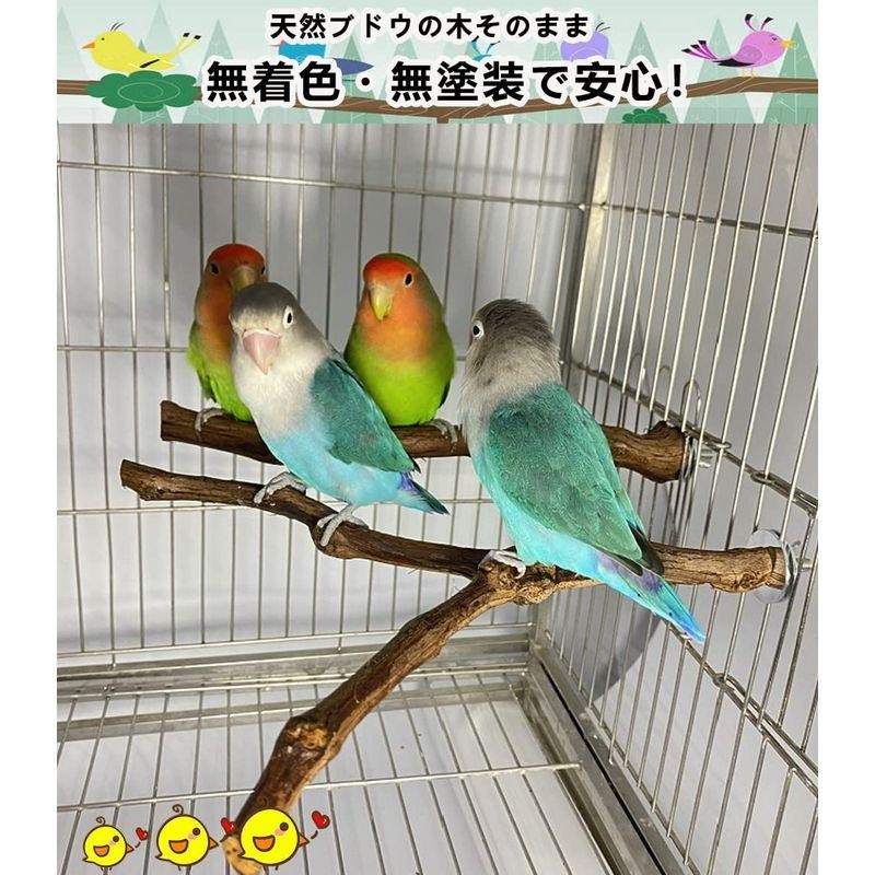 止まり木 止まり台 2本セット 天然ブドウの木 爪とぎパーチ インコ 止まり木 爪を研ぎ 鳥スタンド インコ おもちゃ 鳥おもちゃ 噛むおも |  LINEブランドカタログ