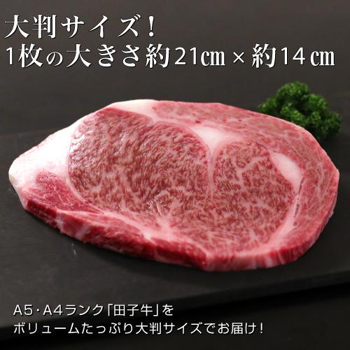 和牛　牛肉　ステーキ　ギフト　株式会社肉の博明　青森県産　田子牛リブロース６００ｇ　冷凍