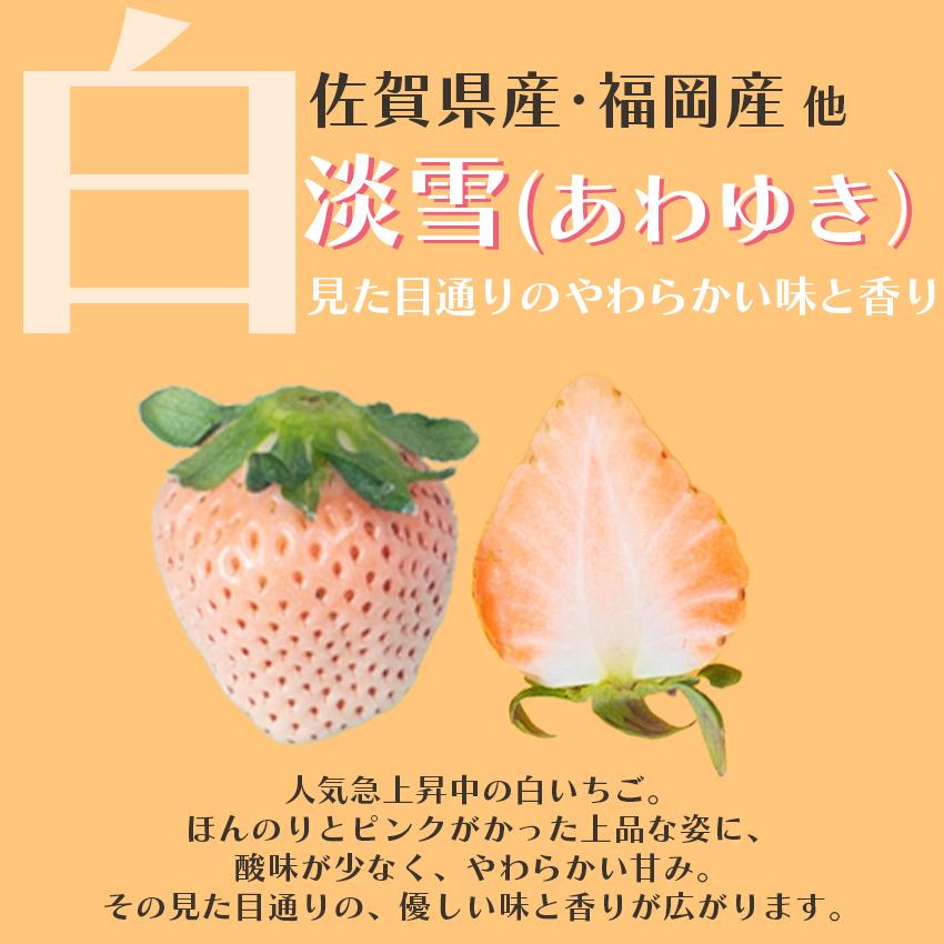 福岡・佐賀産 紅白いちご （あまおう＆白いちご）2パック（ギフト いちご イチゴ 苺 御歳暮 御祝）