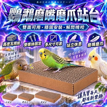 【現貨】鳥類紙板平台 鸚鵡啃咬玩具 可掛籠紙板平台 鸚鵡休息 解悶玩具 虎皮 玄風 牡丹 鸚鵡用品 鳥籠造景 磨牙潔齒