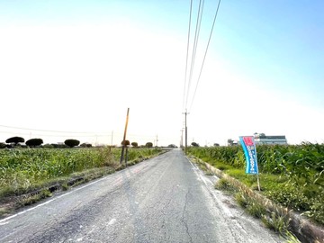 下營區十六甲段~低總價優質農地｜台南市下營區十六甲段