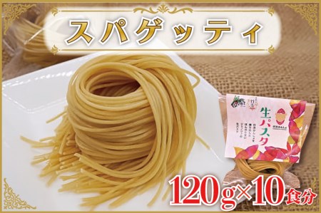 CJ-15 生パスタ （スパゲッティ10食分）