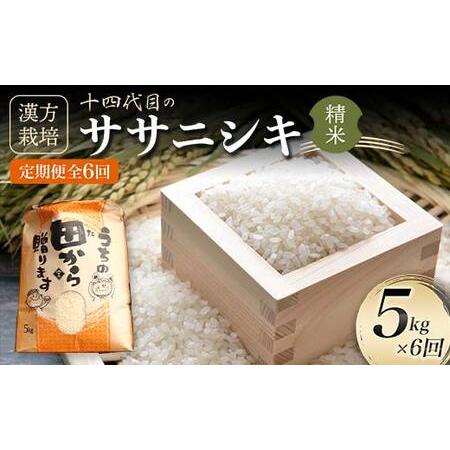 ふるさと納税 令和5年産 漢方栽培 十四代目のササニシキ 5kg（精米）全6回 米 お米 おこめ 山形県 新庄市 F3S-1701 山形県新庄市