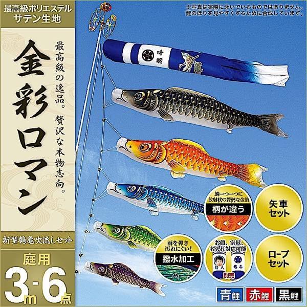 鯉のぼり 庭園用 村上 鯉幟 家紋入れ・名前入れ・お顔写真入れ可能 「金彩ロマン3m6点セット」