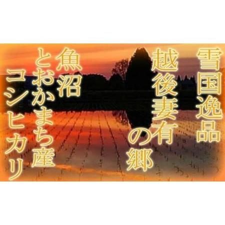 ふるさと納税  越後妻有の郷 魚沼十日町産コシヒカリ 新潟県十日町市