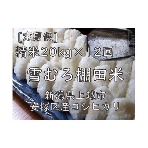 ふるさと納税 新潟県 上越市 雪むろ棚田米コシヒカリ20kg精白米[定期便]毎月発送(計12回)