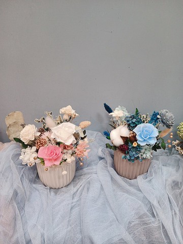 情人節盆花 花盆 開幕花禮 禮物 捧花