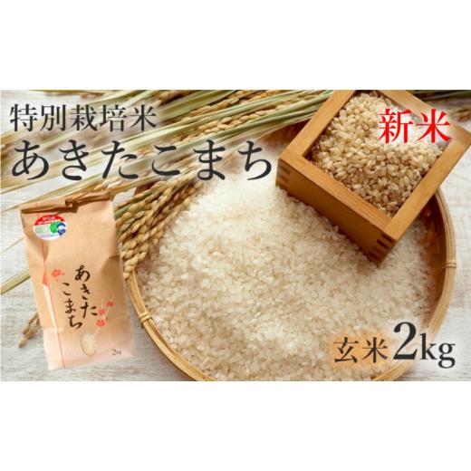 ふるさと納税 秋田県 能代市 特別栽培米 あきたこまち 2kg 秋田県産 令和5年産