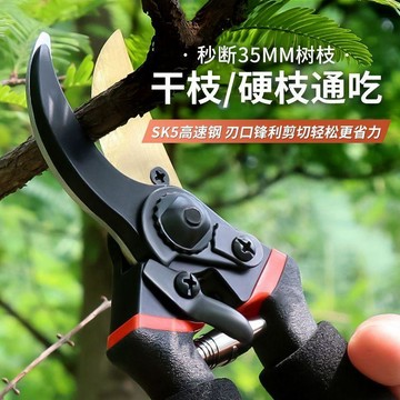 限時下殺⚡樹枝剪 園藝剪 園藝剪刀 高枝剪 修花剪德國進口SK5強力園藝剪不鏽鋼省力修剪枝果樹粗枝樹枝專用剪子