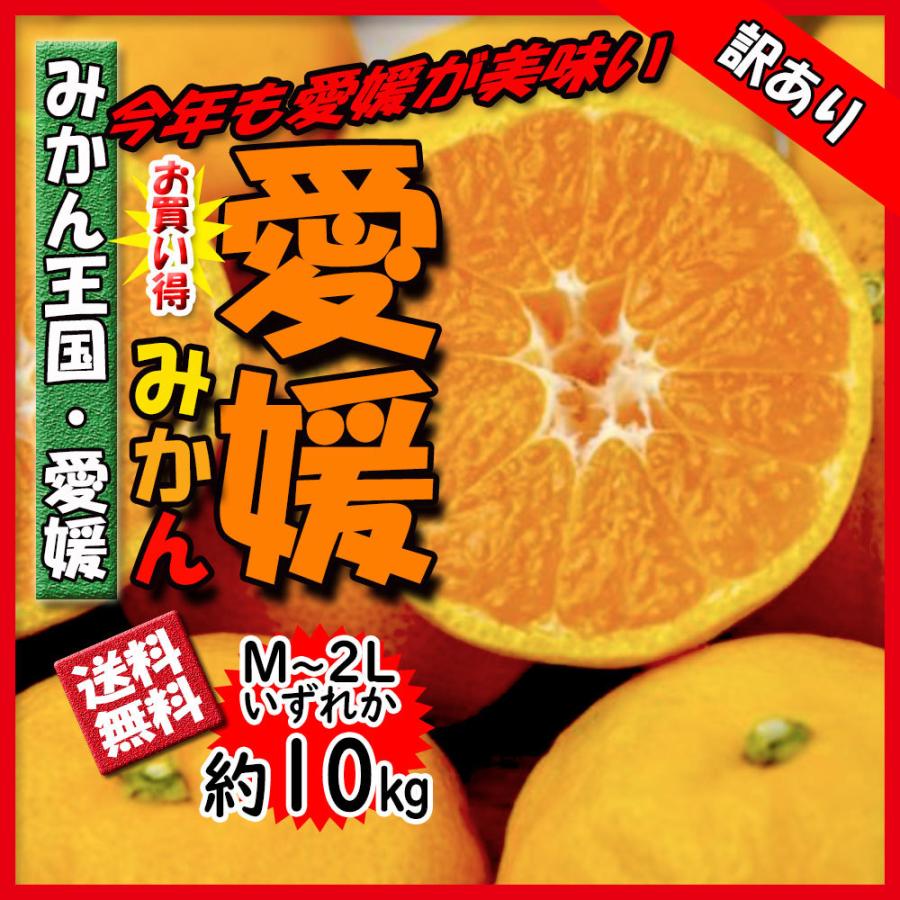 みかん 訳あり 箱買い 愛媛みかん 温州みかん 10ｋｇ 愛媛 みかん 送料無料