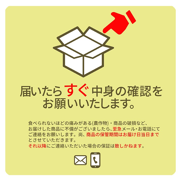  りんご 秀品 シナノゴールド 2kg (約6〜9玉入) フルーツ 山形県産 贈答用 化粧箱入り ギフト箱 お年賀 果物 小粒