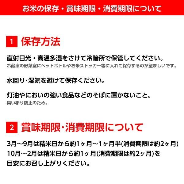 新米 令和5年産 福島県 中通産 コシヒカリ 玄米 30kg 白米27kg お米