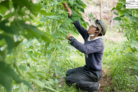 いそベジ農場の季節の野菜詰め合わせセット〔IV-01〕