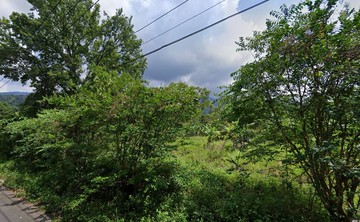 專任南投九族文化村旁大地坪美農地｜南投縣魚池鄉九族段