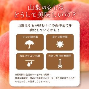 ふるさと納税 〈2024年度配送分〉甲府市産 桃 約3kg（8〜12玉） 山梨県甲府市