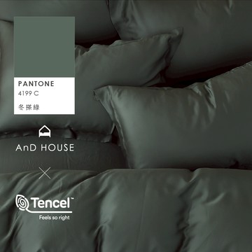AnD House 天絲60支-冬搽綠-床包被套組｜安庭家居 素色 顏色任搭