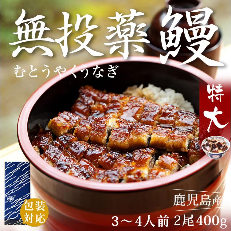 お歳暮 ギフト うなぎ 国産 うなぎ蒲焼き 鰻 鹿児島県産 無投薬 約200g×2尾 化粧箱 ウナギ 長焼き プレゼント 誕生日 お祝い